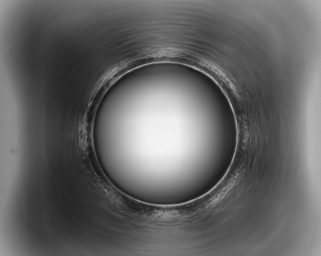 X0000097860978200803211251