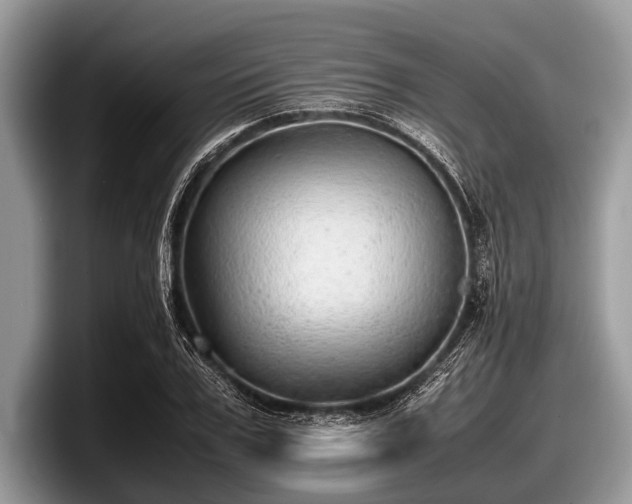 X0000097860979200803211251