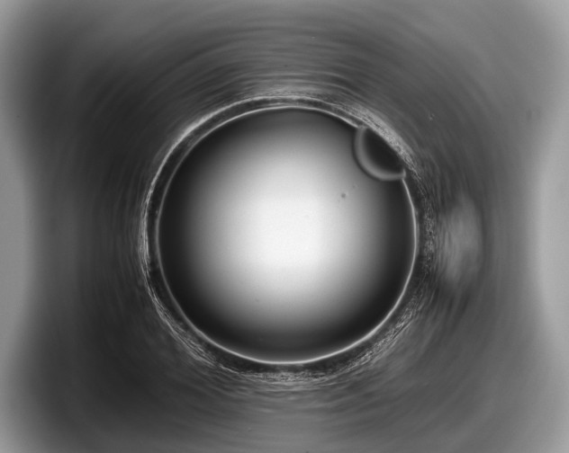 X0000097860980200803211251