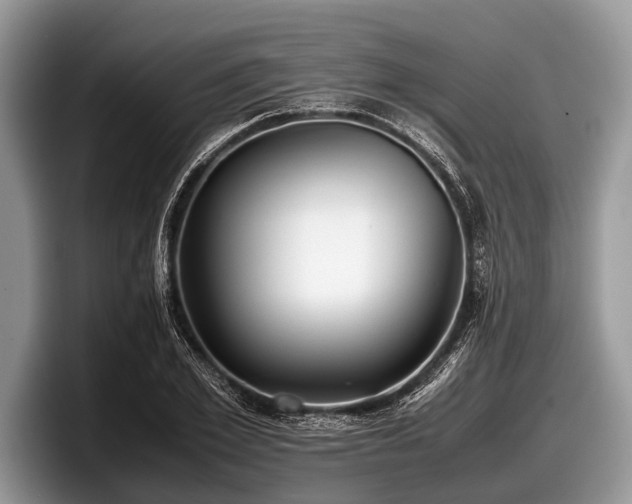 X0000097860981200803211251