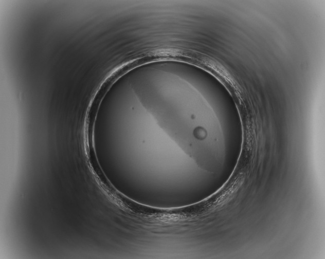 X0000097860984200803211251