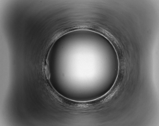 X0000097860985200803211251