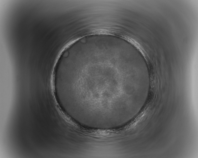 X0000097860987200803211251