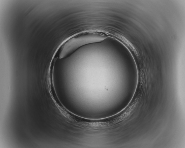 X0000097860988200803211251