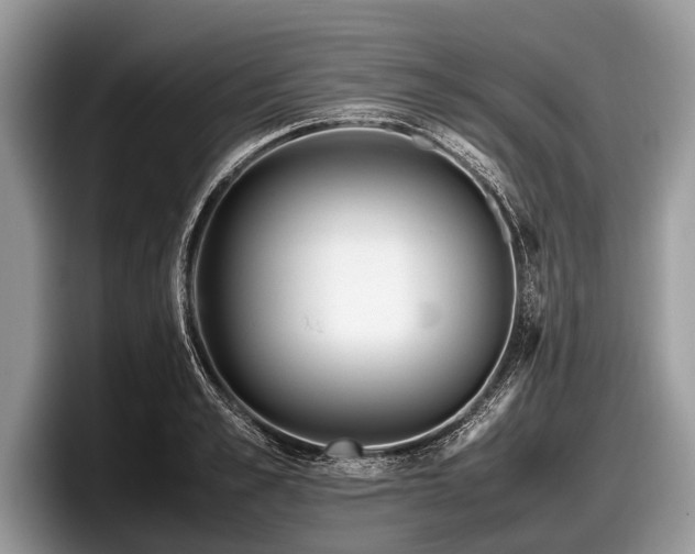 X0000097860989200803211251