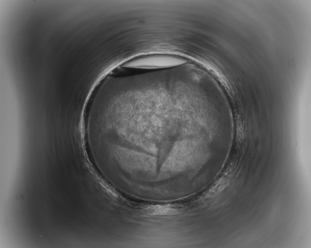 X0000097860990200803211251