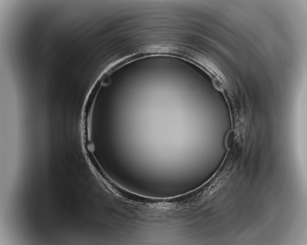 X0000097860992200803211251