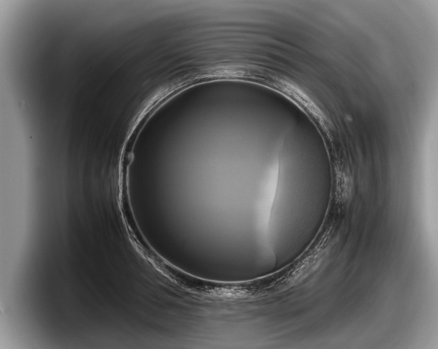 X0000097860994200803211251