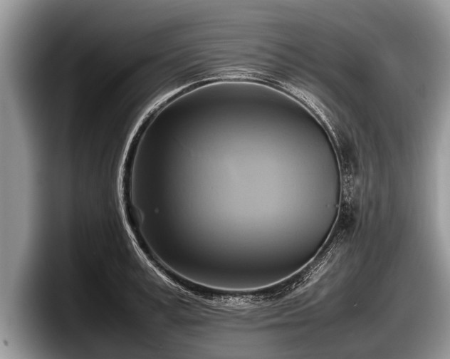 X0000097860995200803211250