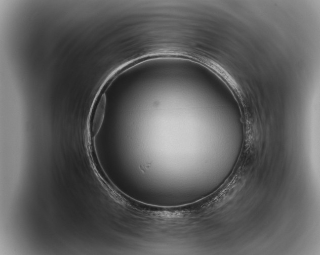 X0000097860996200803211250