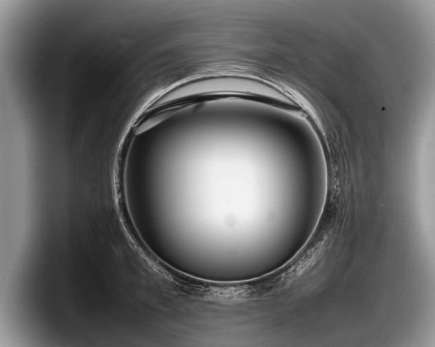 X0000097860997200803211250