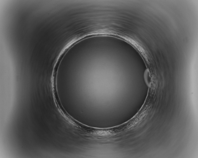 X0000097860998200803211250