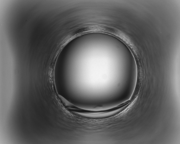 X0000097861001200803211250