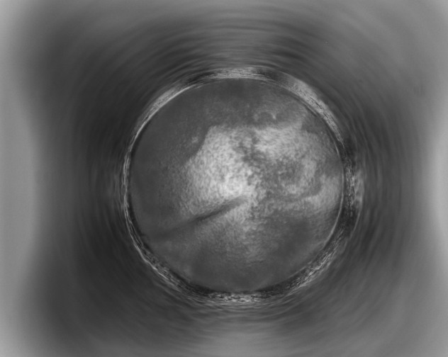 X0000097861002200803211250