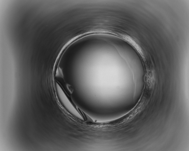 X0000097861004200803211250