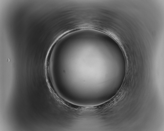 X0000097861008200803211250