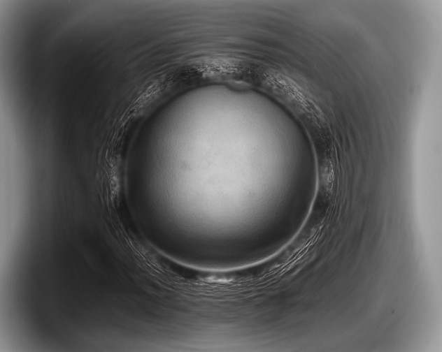 X0000097861012200803211250