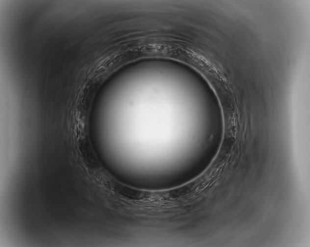 X0000097861013200803211250