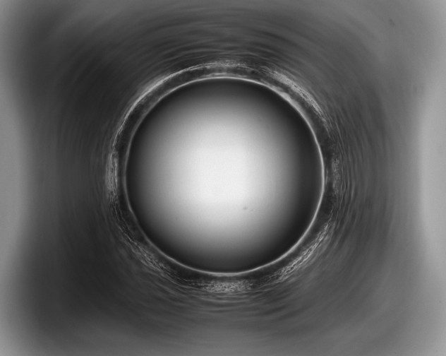 X0000097861021200803211250