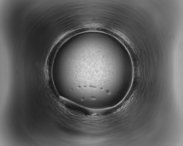 X0000097861022200803211250