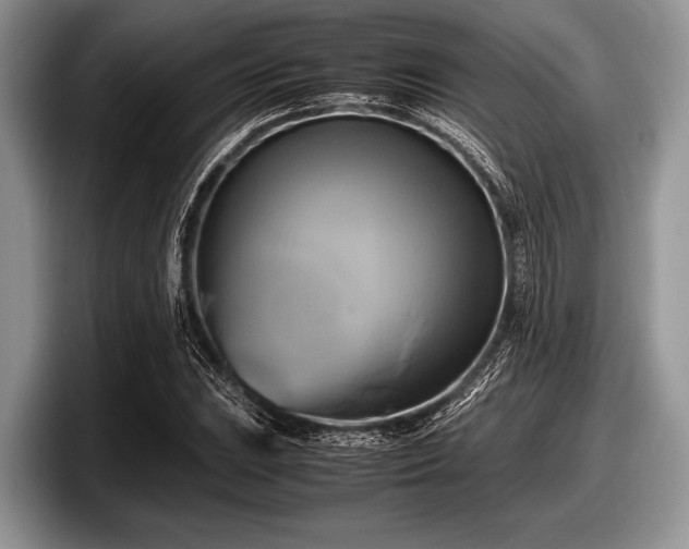 X0000097861023200803211250