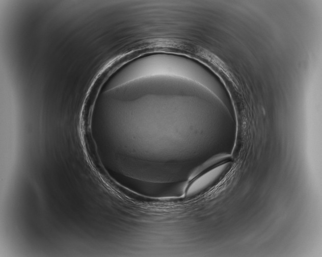 X0000097861024200803211250