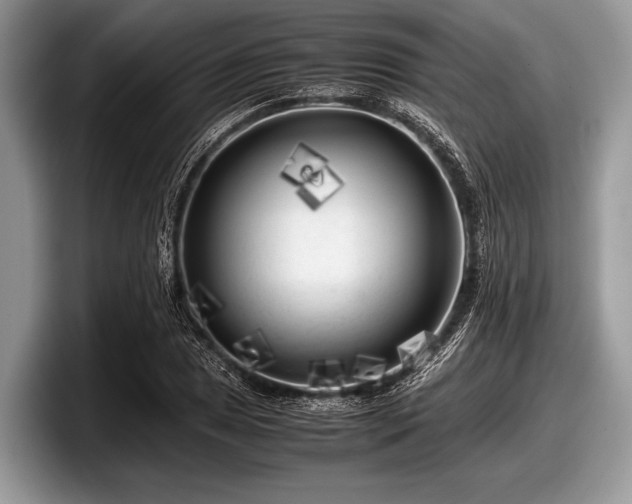X0000097861025200803211250