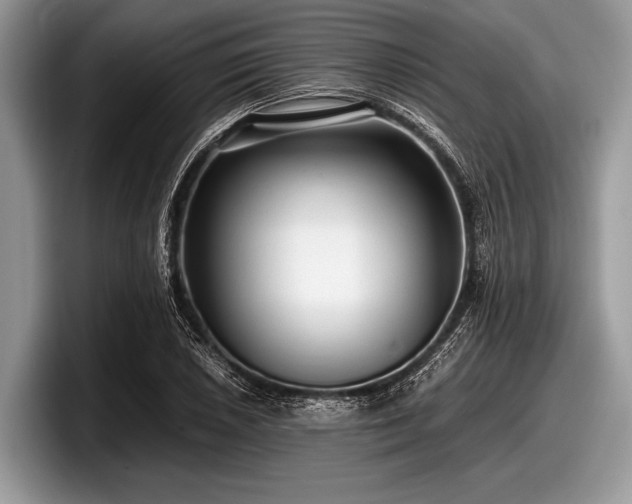 X0000097861026200803211250