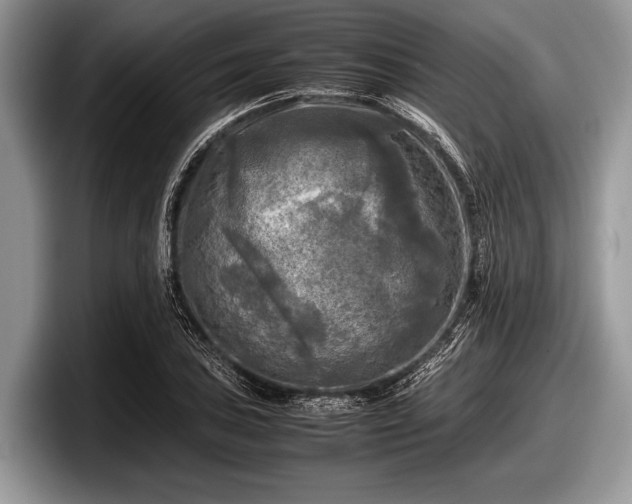 X0000097861027200803211250