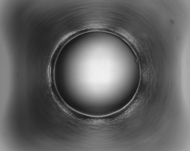 X0000097861030200803211250