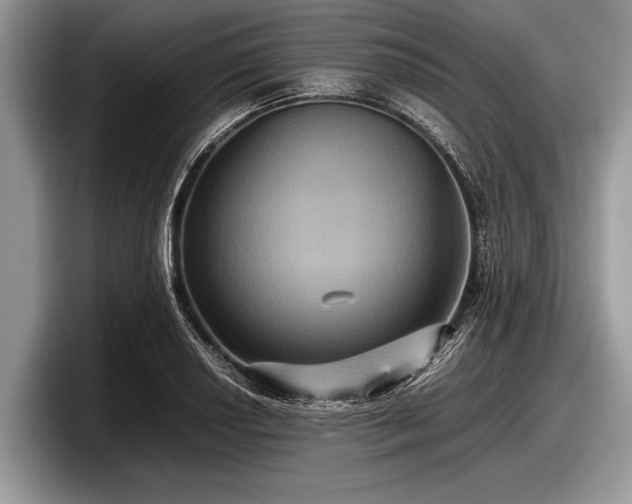 X0000097861034200803211250