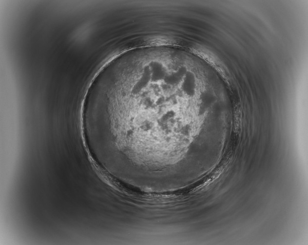 X0000097861039200803211250