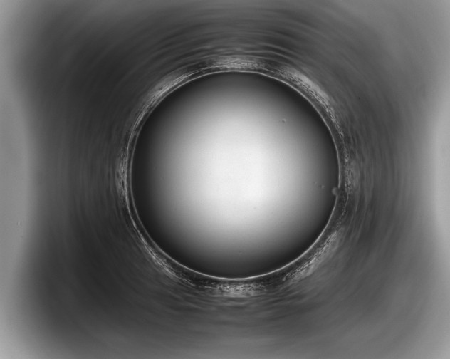 X0000097861041200803211250