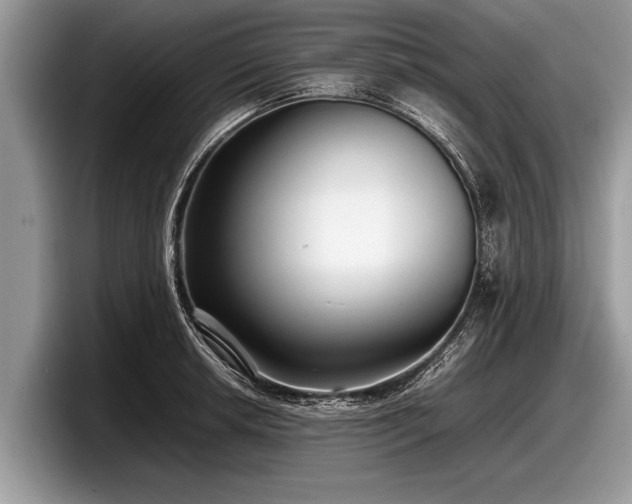 X0000097861042200803211250