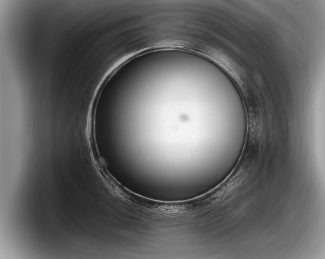 X0000097861044200803211250