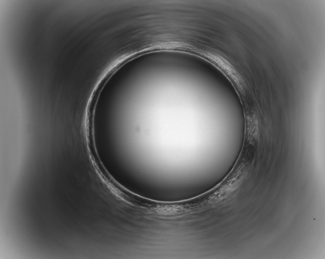 X0000097861046200803211250