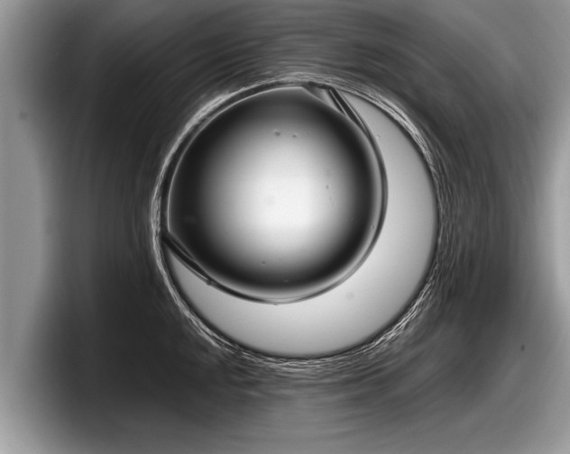 X0000097861048200803211250