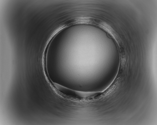 X0000097861050200803211250