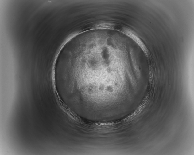 X0000097861051200803211250