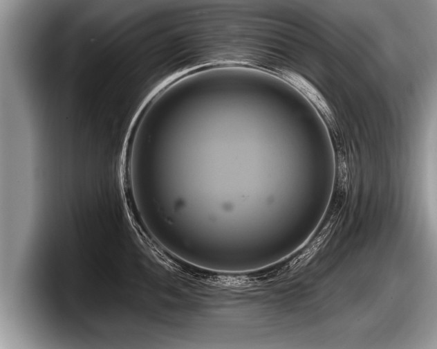 X0000097861052200803211250