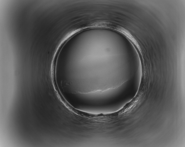 X0000097861053200803211250