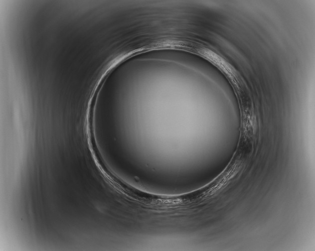 X0000097861055200803211250