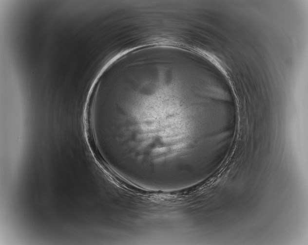 X0000097861056200803211250