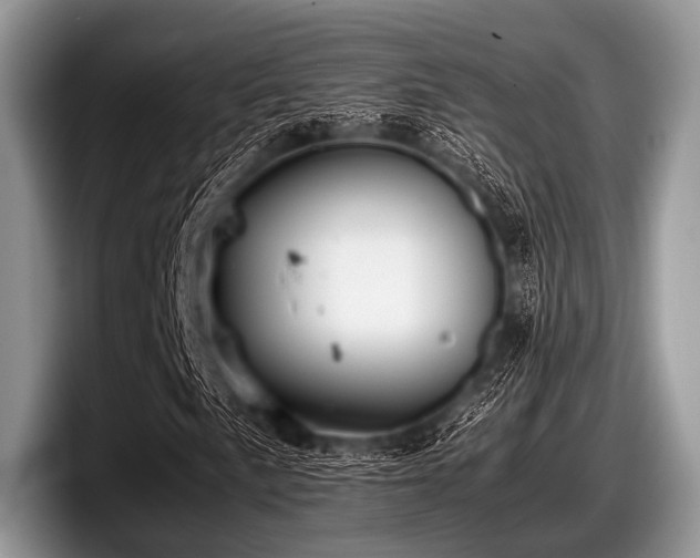 X0000097861057200803211250