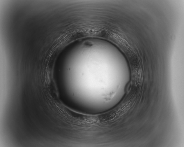 X0000097861058200803211250