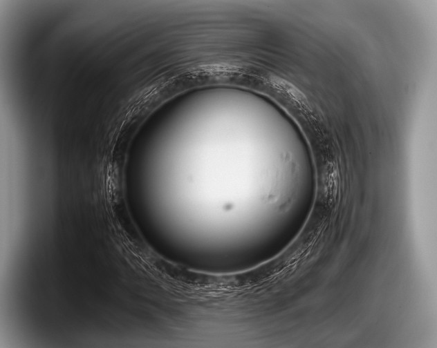 X0000097861062200803211250