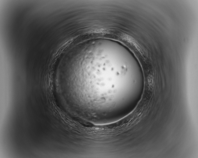 X0000097861064200803211250