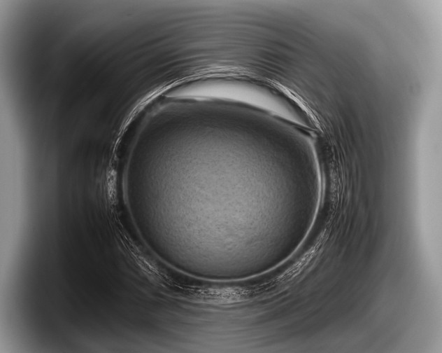 X0000097861066200803211250