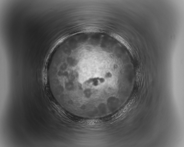 X0000097861067200803211250