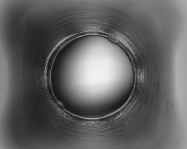 X0000097861068200803211250